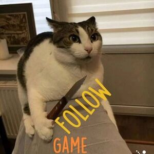 Calvin Klein White and Gray Graphic Tee with Yellow Print follow me I follow you